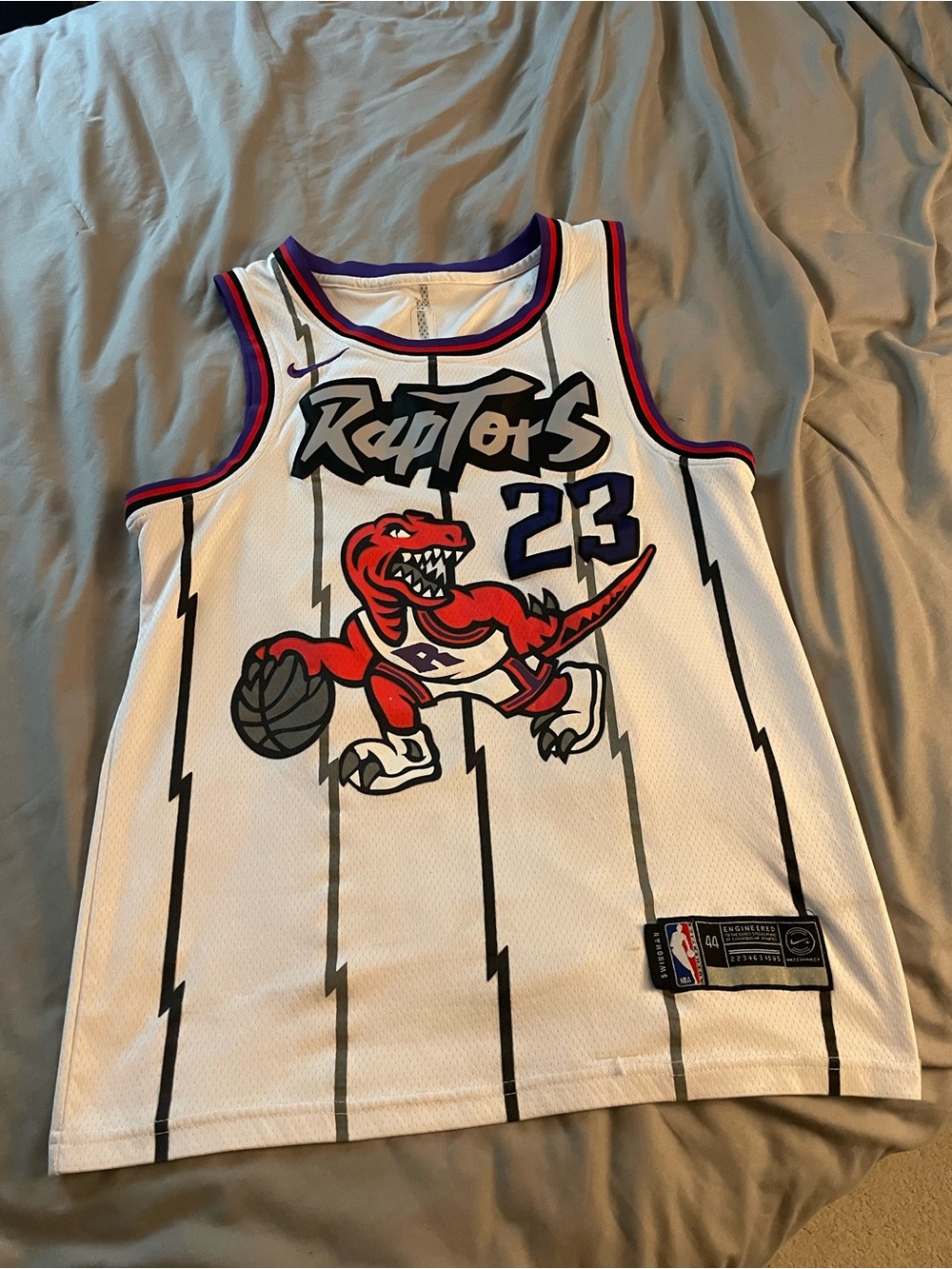 Toronto raptors jersey